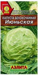 Семена Капуста белокочанная Июньская (раннеспелый) ЛД (Аэлита) 0,5г