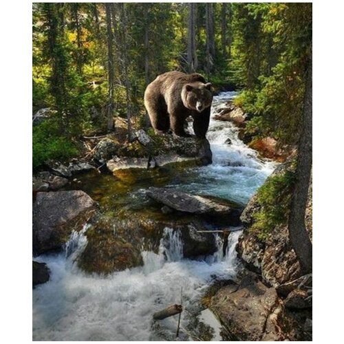 Картина по номерам Бурый медведь 40х50 см Hobby Home картина по номерам медведь в малине 40х50 см