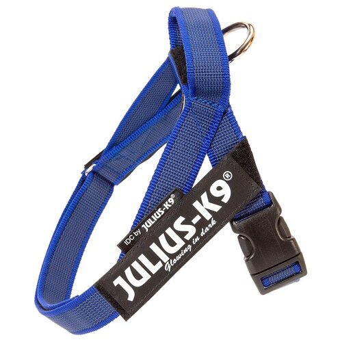 Шлейка JULIUS-K9 Belt harness Color & Gray 1, обхват шеи 61-80 см, синий, L