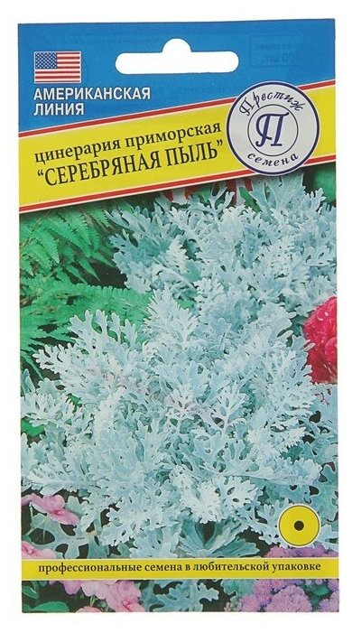 Семена цветов Цинерария "Серебряная пыль", О, 100 шт