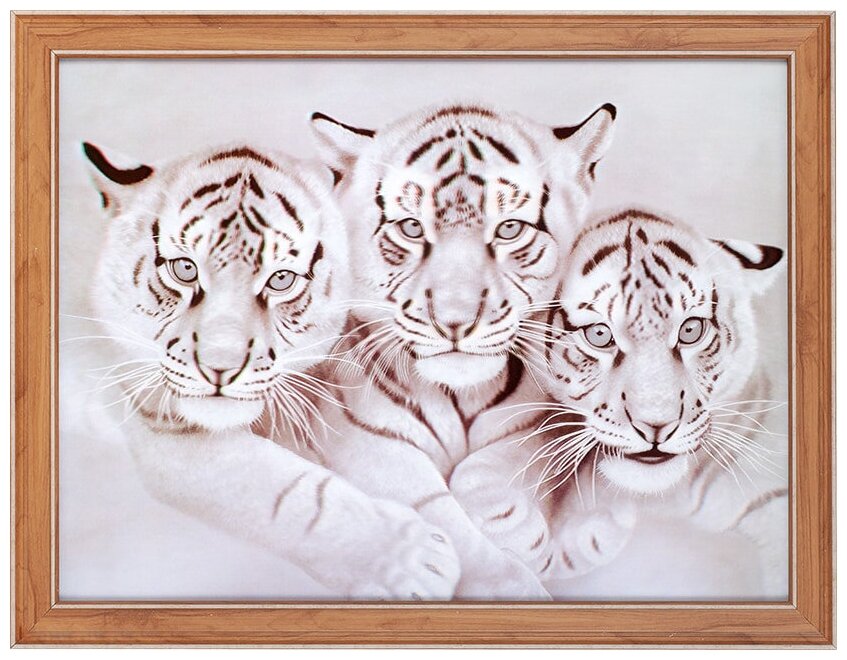 Линзовидная картина с эффектом 3d и 5d