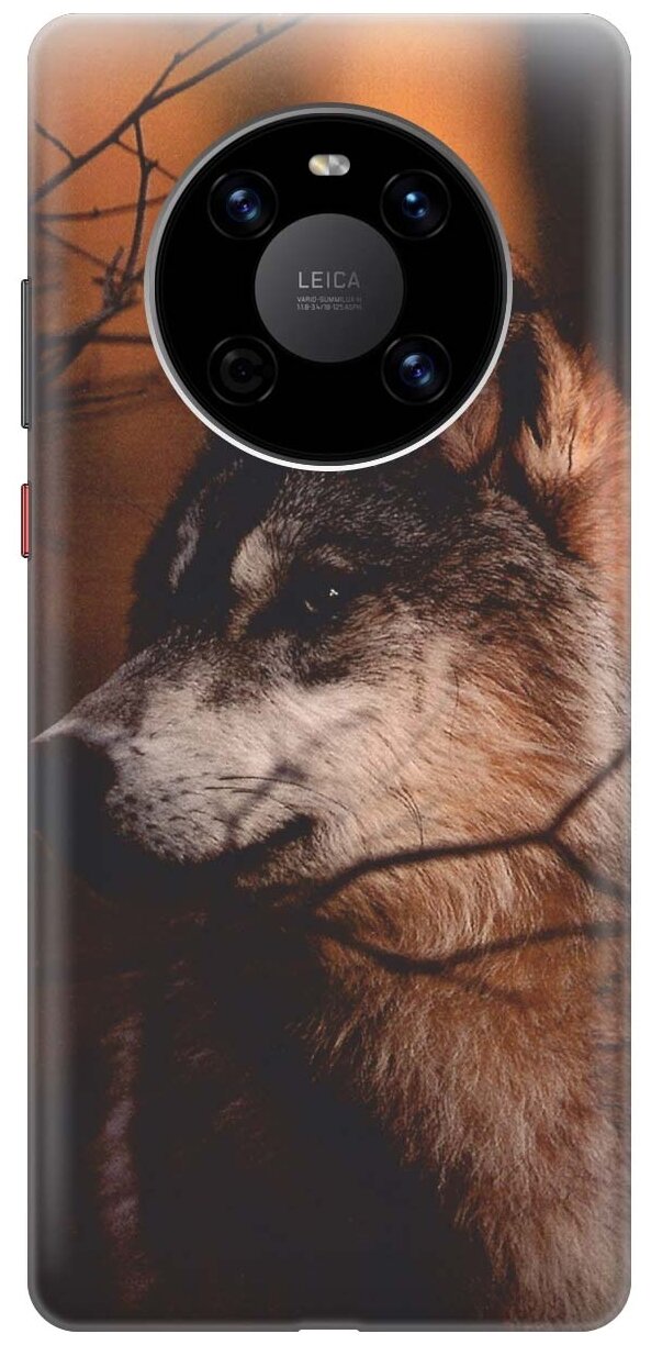 RE: PA Чехол - накладка ArtColor для Huawei Mate 40 с принтом "Красивый волк"