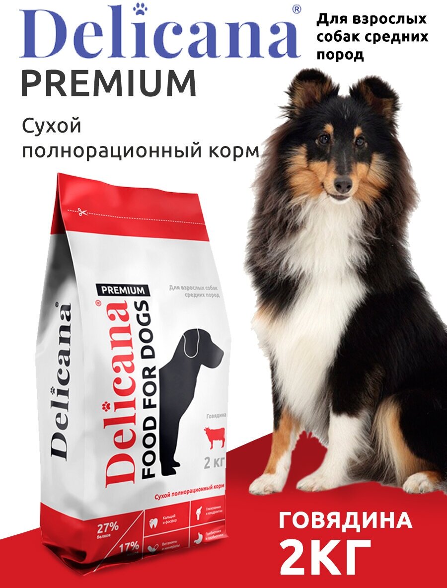 Сухой корм для собак Delicana говядина 1 уп. х 1 шт. х 2 кг (для средних пород)