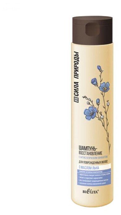 Bielita шампунь-восстановление Сила природы с маслом льна для поврежденных волос с антистатическим эффектом, 400 мл, 4 шт.