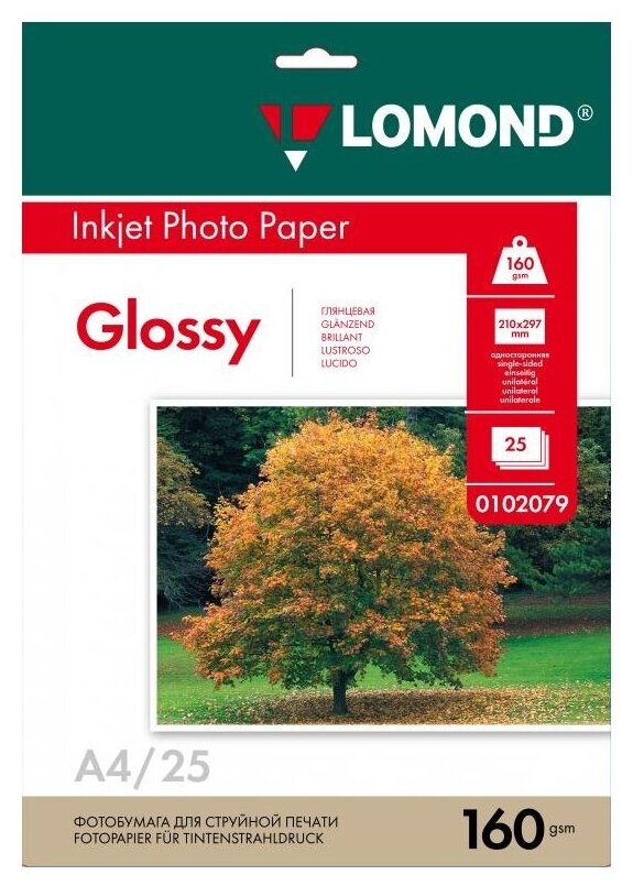 Бумага Lomond A4 Photo Paper 0102079 160 г/м²