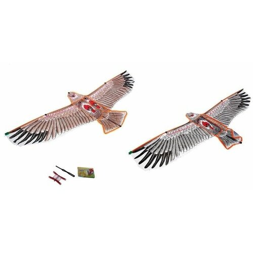 Воздушный змей Орёл в полете с леской 667₽