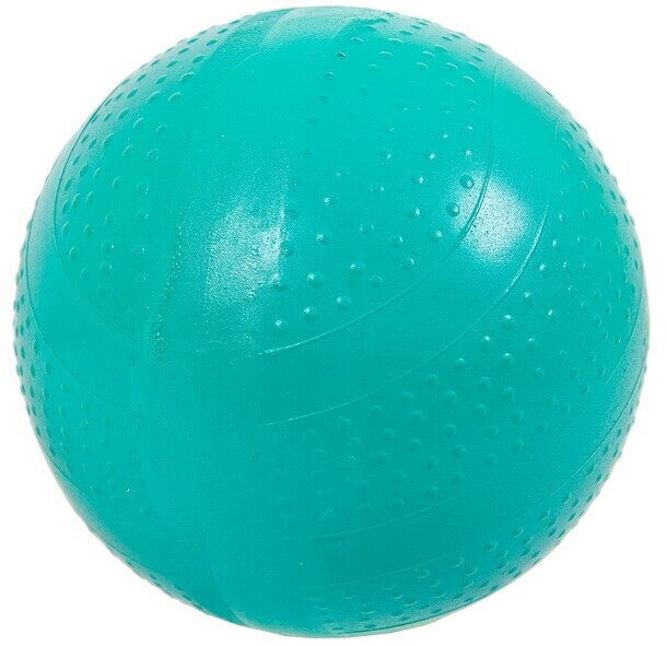 Мяч д.100 мм спортивный Фактурные