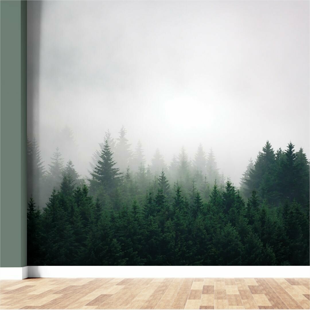 Туманный лес / Флизелиновые фотообои на стену для комнаты: гостиной спальни / 300*270 / - фотография № 3