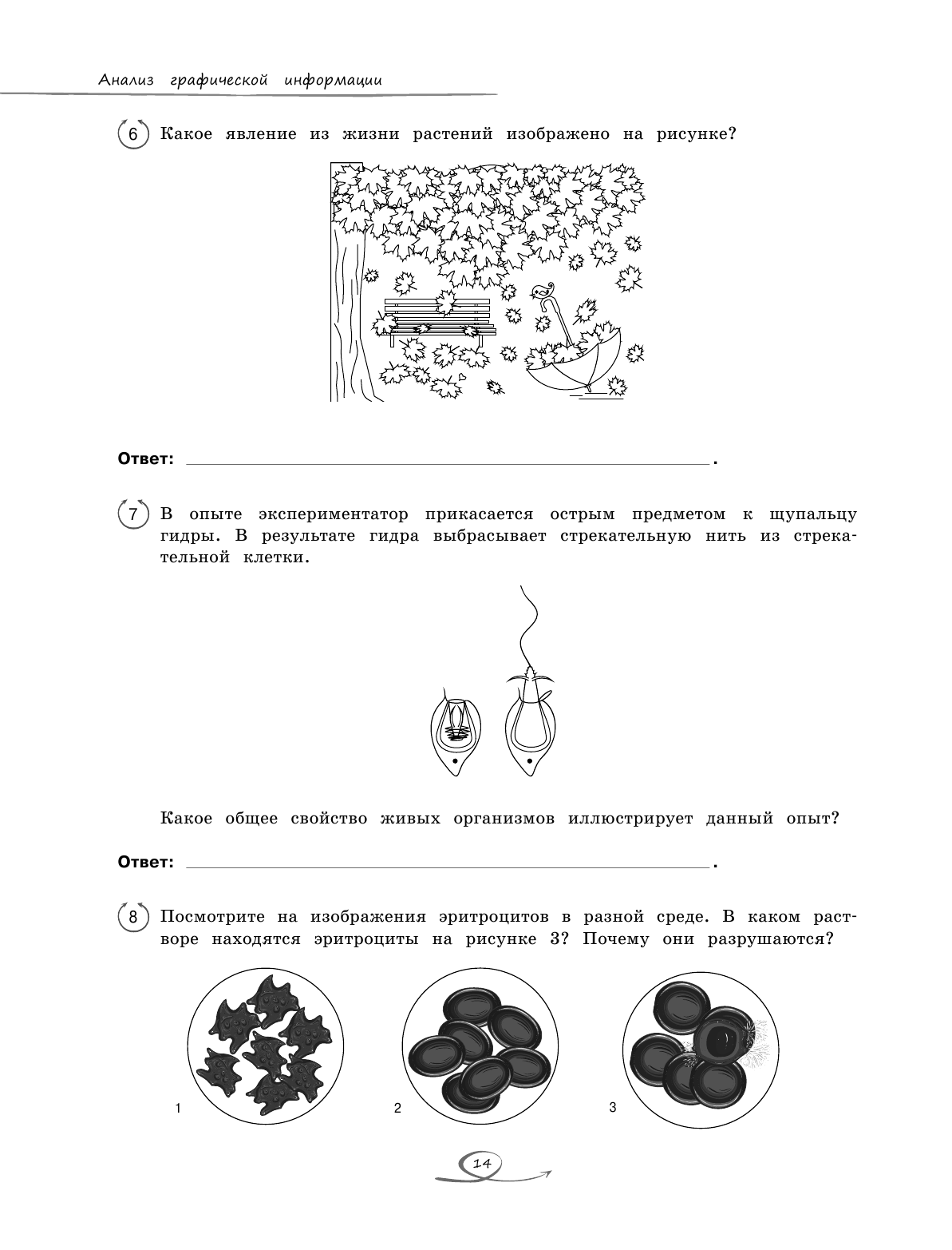 Биология (Мазур Оксана Чеславовна, Лаптева Ольга Владимировна) - фото №13