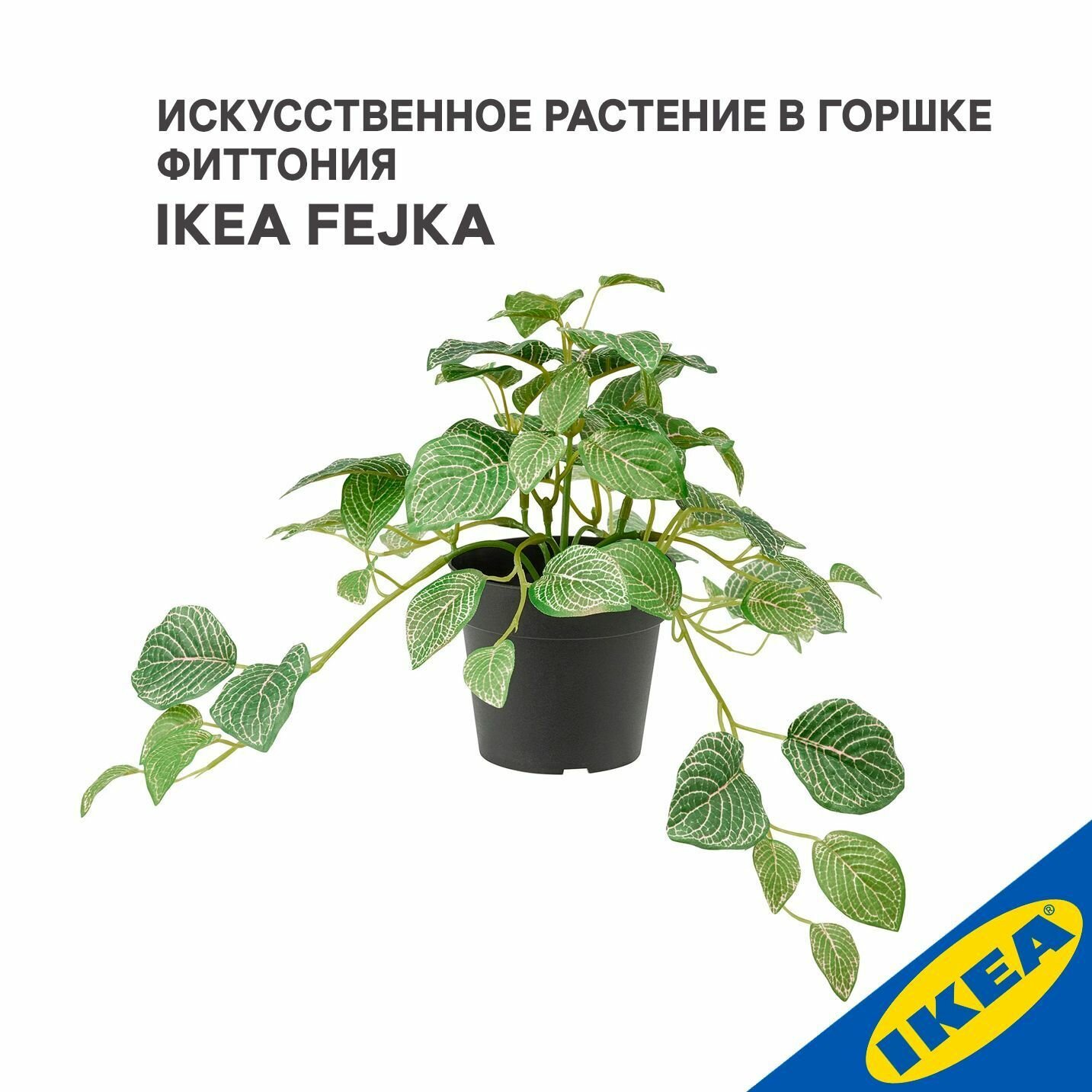 Искусственное растение в горшке 9 см подвесное зелeный IKEA FEJKA фейка Фиттония