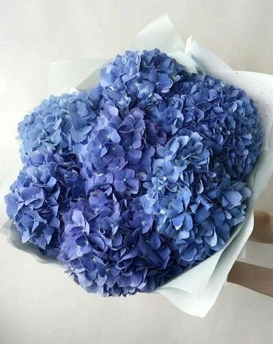 Монобукет из 7 колумбийских гортензий "Blue Water" от FlowersGo с доставкой