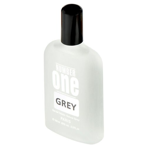 Туалетная вода мужская Number One Grey Intense Perfume, 100 мл