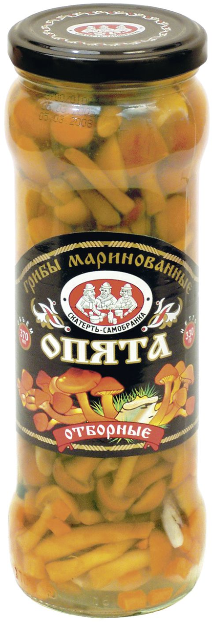 Опята Скатерть-Самобранка, маринованные отборные, 370мл - фото №8