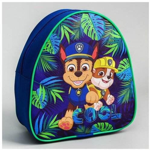 Paw Patrol Рюкзак детский, 23х21х10 см, Щенячий патруль