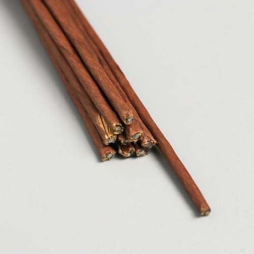 Набор проволоки Астра для творчества d 2 мм, 60 см, 10 шт, цвет коричневый (7716178)