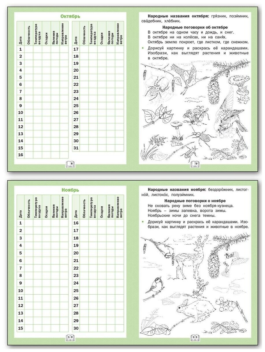Дневник наблюдений Окружающий мир 1 класс Рабочая тетрадь - фото №3