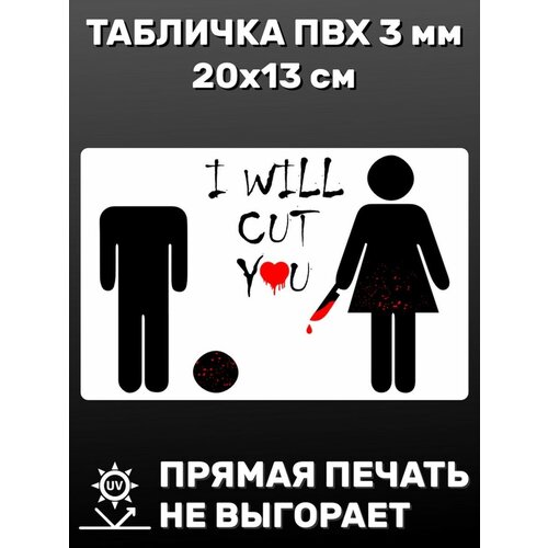 Табличка информационная I will 20х13 см