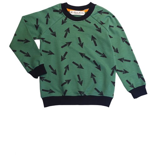 фото М540.8/свитшот(толстовка)/60(30)/116 /хаки/bonbon/россия bon bon