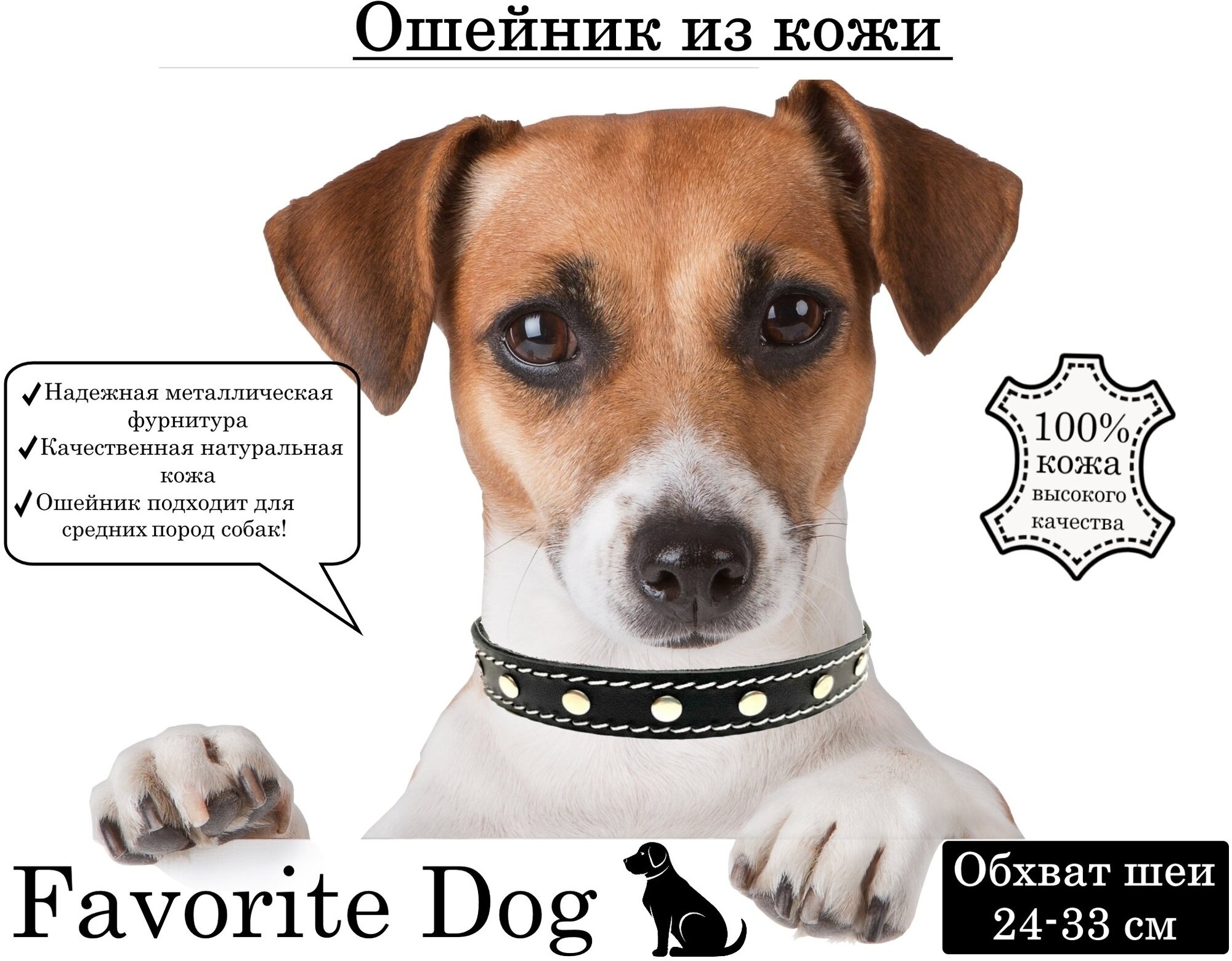 Ошейник Favorite Dog - кожаный ошейник для средних и маленьких собак