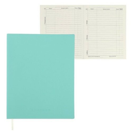Дневник универсальный для 1-11 класса Minty soft touch, мягкая обложка, искусственная кожа, ляссе, 80 г/м2