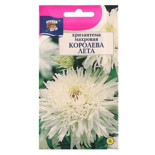 Семена цветов Хризантема многоцветковая королева лета, 0,03 г