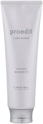 Lebel Cosmetics Маска восстанавливающая для поврежденных волос Proedit Hair Treatment Bounce Fit, 250 мл, туба