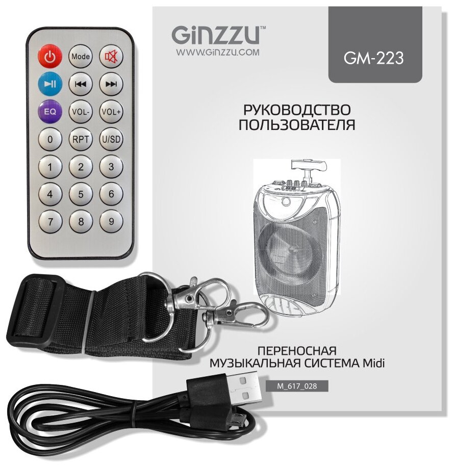 Портативная акустика Ginzzu GM-223, 40 Вт, черный