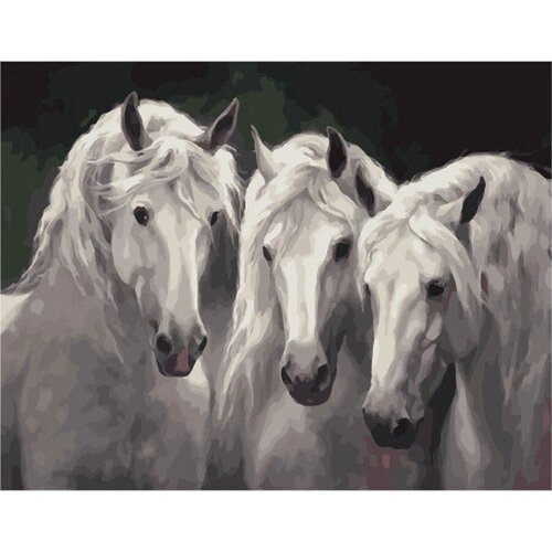 Картина по номерам Три белых коня 40х50 см Hobby Home картина по номерам три резвых коня 40х50 см