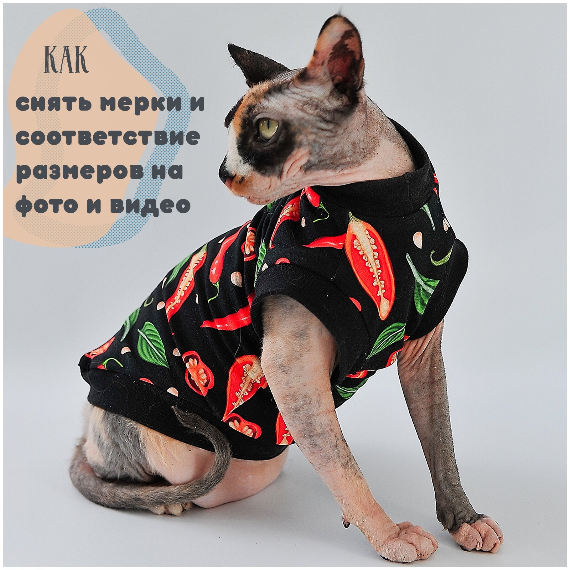 Одежда для кошек Элегантный Кот, футболка Ароматный Чили , размер XS - фотография № 7