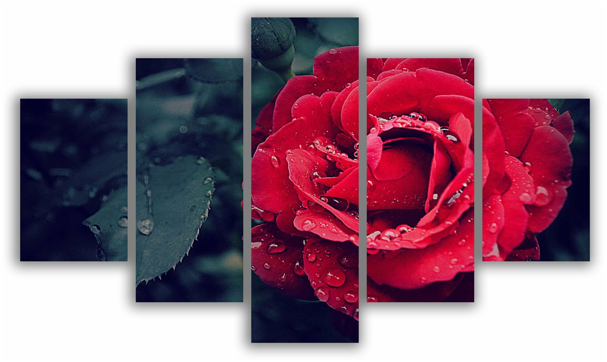Модульная картина для интерьера красная роза 140x80 см