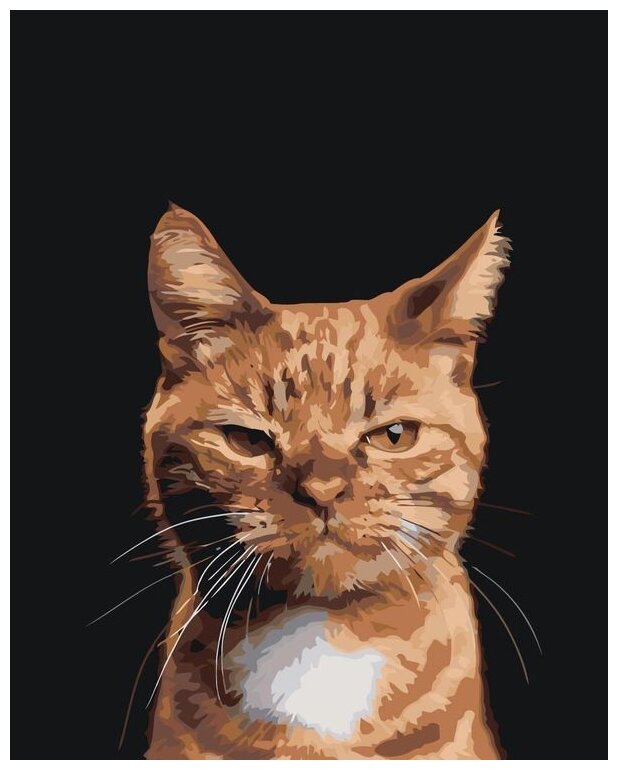 Картина по номерам «Дерзкий кот» 40x50 см Живопись по Номерам