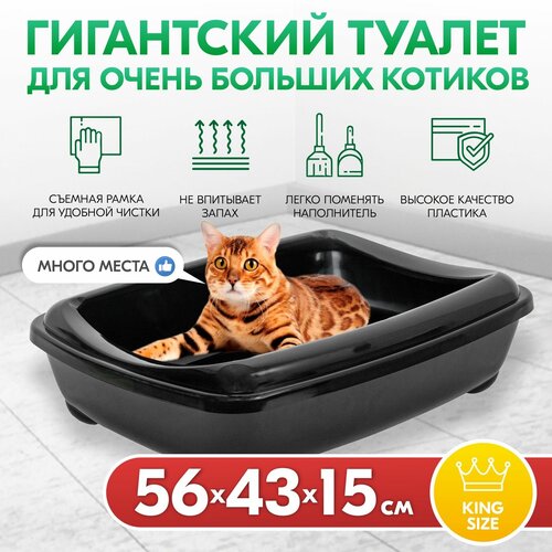 Туалет для кошек, лоток для кошек PetTails для Мейн-кунов глубокий, большой (под наполнитель) 56*43*15см, черный