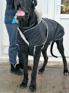 Основная фотография от вендора