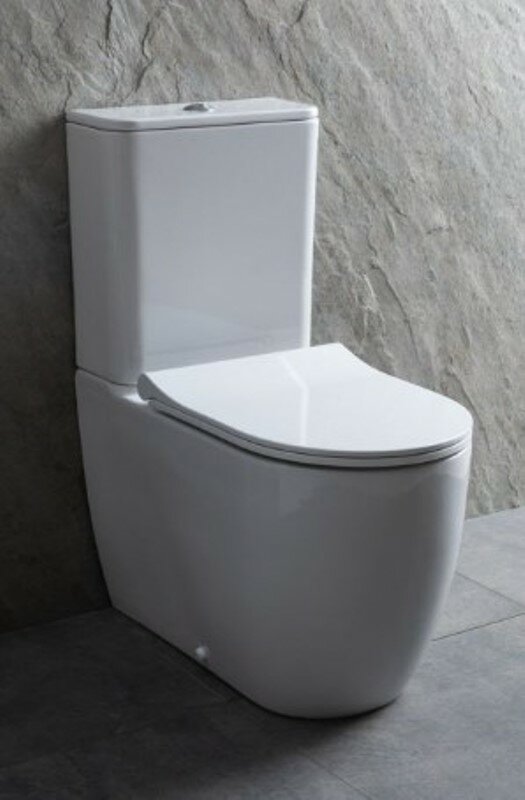 фото Унитаз без бачка Allen Brau Priority 4.31003.20 с Rimless, 630x380 мм, без сиденья