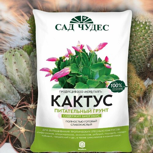 Грунт/почва для выращивания кактусов ; 2,5л грунт для суккулентов почвогрунт 3 кг