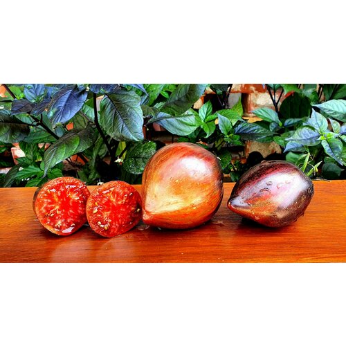 Семена Томата мятежный звездный истребитель (Rebel Starfighter Prime) / Seeds And Goods / в пакетике zip-lock без полиграфии 10 семян