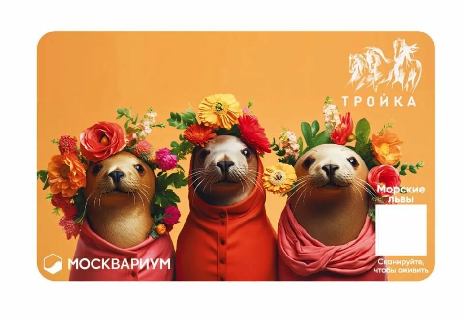 Транспортная карта метро Тройка - Морские львы. Москвариум. Коллекционный проездной — фото 2