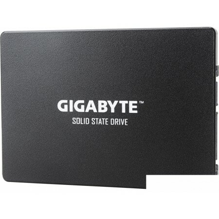 SSD Gigabyte 256GB GP-GSTFS31256GTND