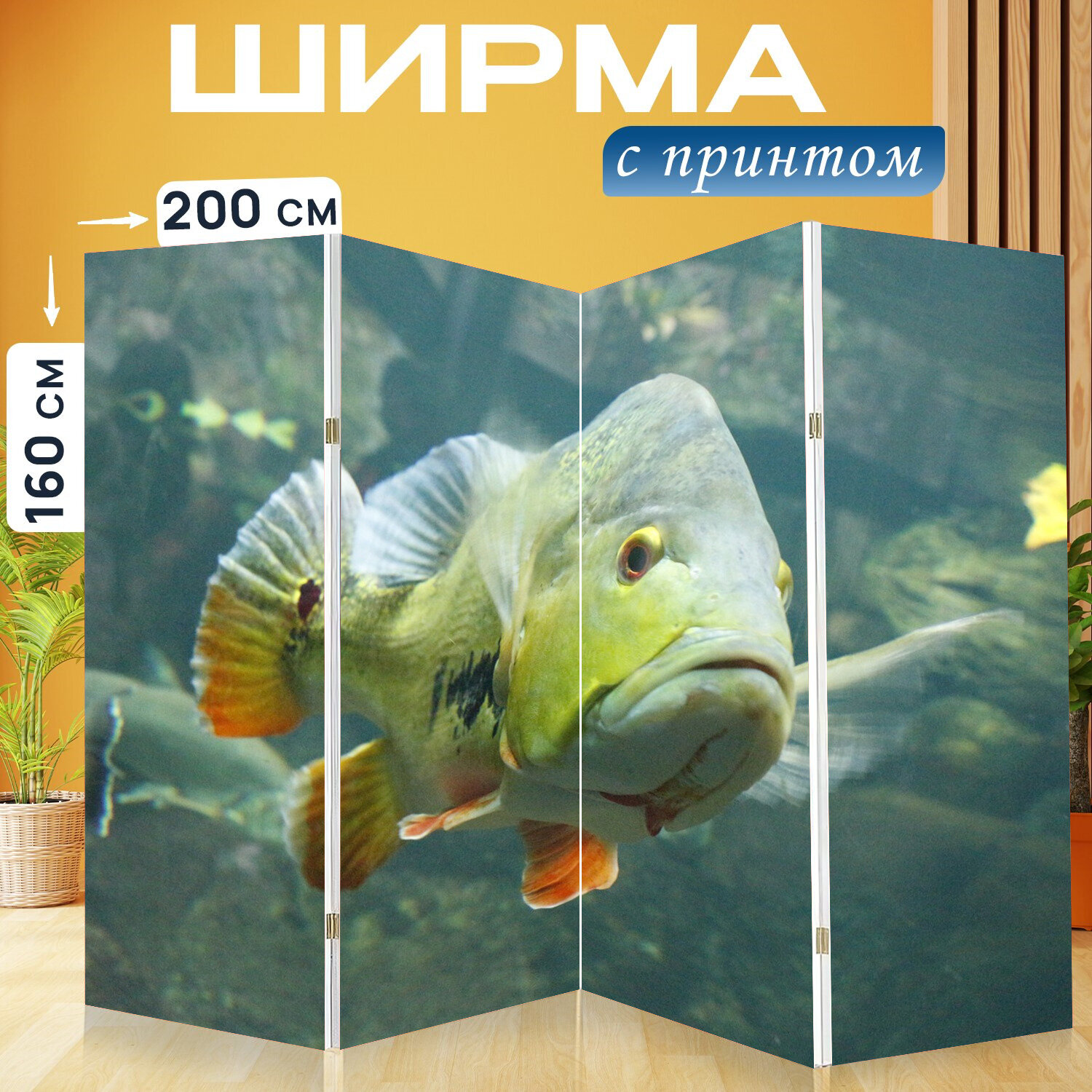Ширма перегородка с принтом "Рыбы, рыба, аквариум" на холсте - 200x160 см. для зонирования, раскладная
