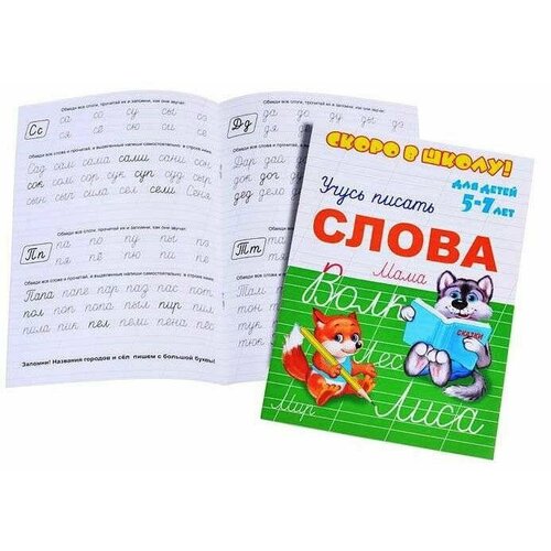 Брошюра Скоро в школу Слова 5-7 лет 8 листов 2 шт 556₽