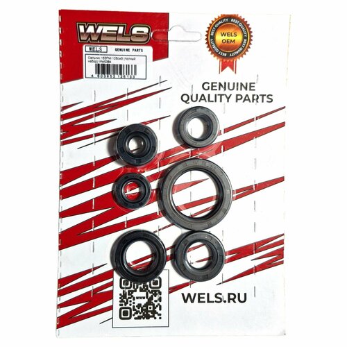 Сальник 153FMI 125см3 полный набор WW0394 397₽