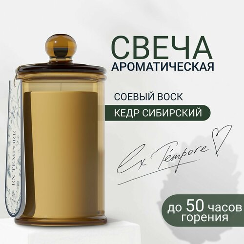 Свеча ароматическая Сибирский кедр EX TEMPORE декоративная, интерьерная для дома, 150 мл