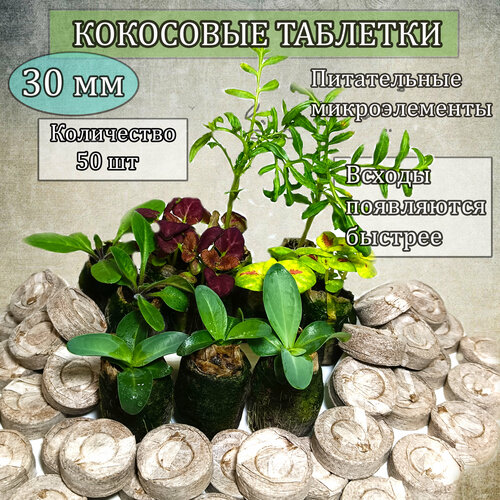 Торфяные таблетки для рассады (кокосовые),30 мм. Кокосовые таблетки для рассады, 50 шт.