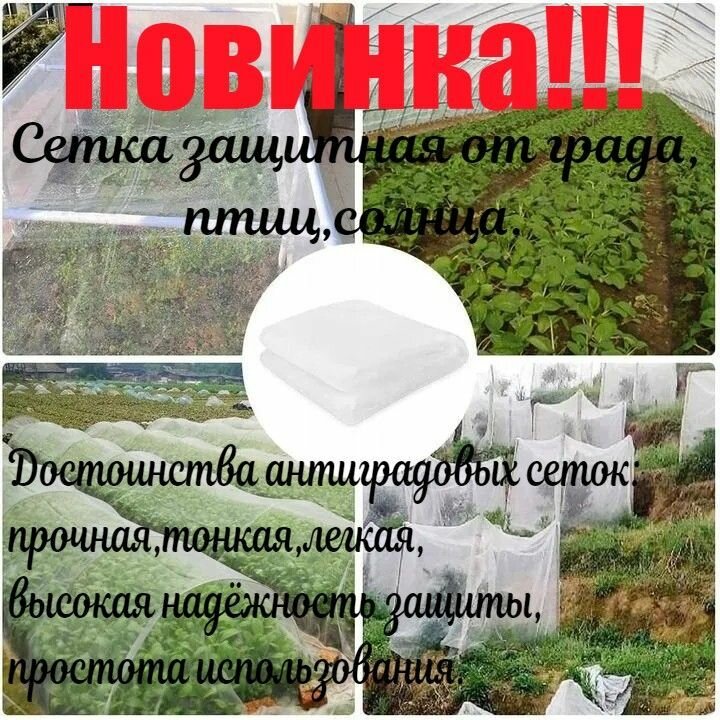 Сетка защитная от града, птиц, солнца 2х3м Новинка!