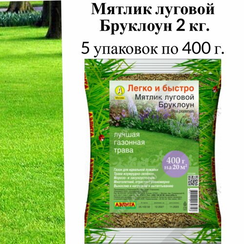 Семена газона Мятлик луговой Бруклоун, 2 кг.