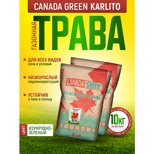 Газонная трава семена Канада Грин Низкорослая 10кг / Canada Green Karlito 10кг / мятлик, овсяница