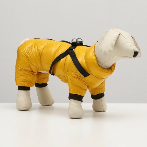 Комбинезон для собак Sima-land со шлейкой Моден, размер 10, желтый (7980719)