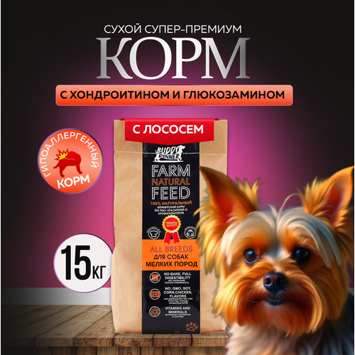 Сухой корм для собак мелких пород Buddy Dinner Orange Line Hypoallergenic с лососем 15 кг