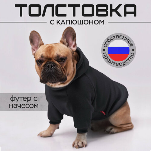 Одежда для собак французский бульдог и мопс размер XL 1050₽