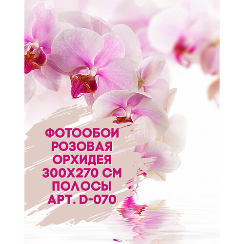 Фотообои DIVINO Розовая орхидея 300х270 полосы фотообои divino c коллекциядубай 300х270 см